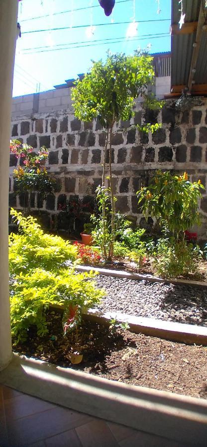 Casa Llemo Lejlighed San Pedro La Laguna Eksteriør billede