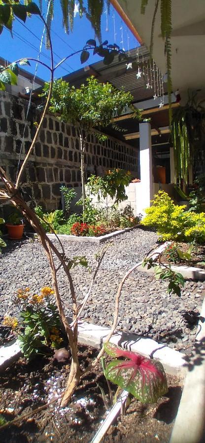 Casa Llemo Lejlighed San Pedro La Laguna Eksteriør billede